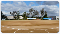 softball-image
